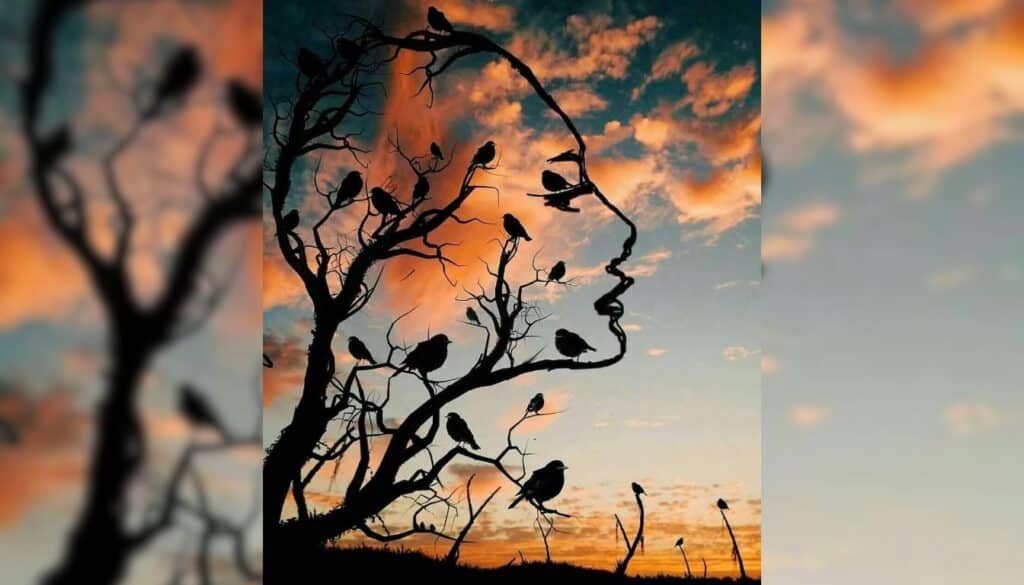 Test di personalità: Sei davvero umile? Scopri cosa rivela la tua reazione istintiva a questa foto!